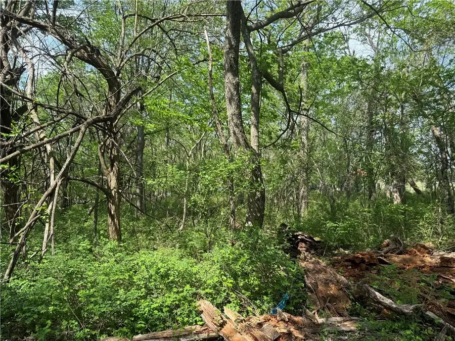 17 Black Oak Drive, Linn Valley, KS 66040 - #3