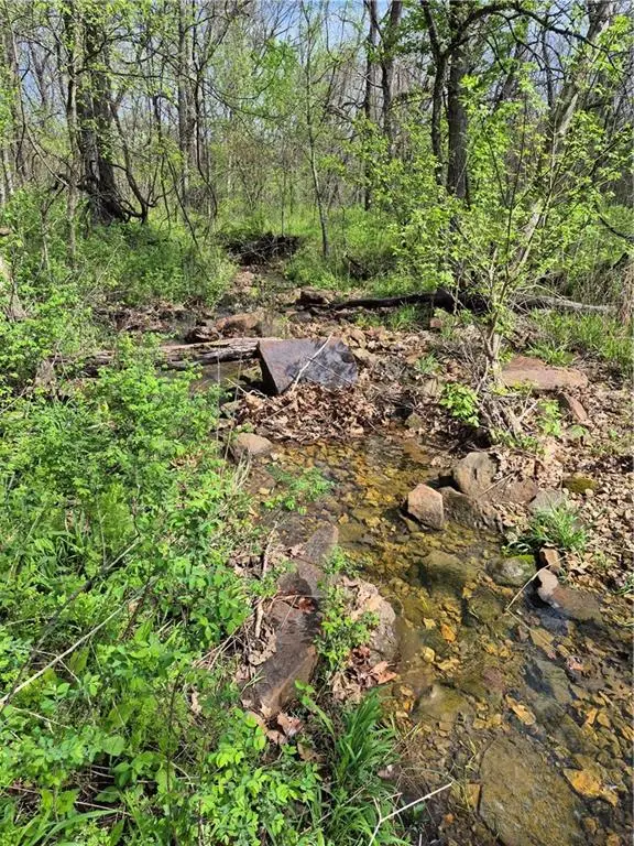 7905 SE 375th Road, Collins, MO 64738 - #3