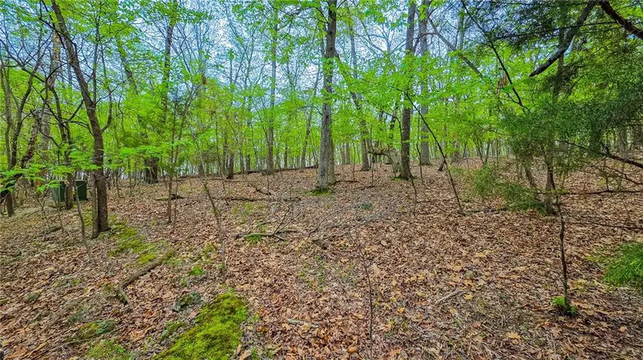 Lot #499 Grand View Drive, Sunrise Beach, MO 65079 - #2