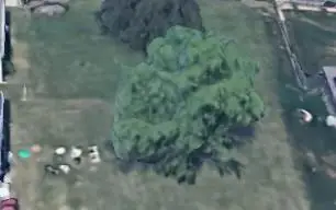 N White Avenue, Kansas City, MO 64119 - #2