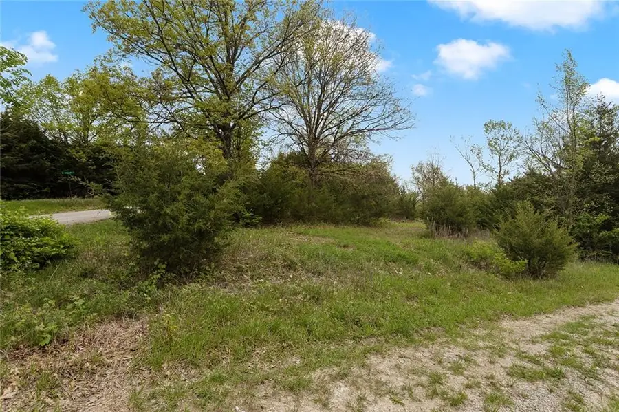 Lot 51 Crystal Drive, Excelsior Springs, MO 64024 - #2