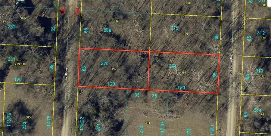 Plat B Lot 270 & 274 Lilac Drive, Odessa, MO 64076 - #2