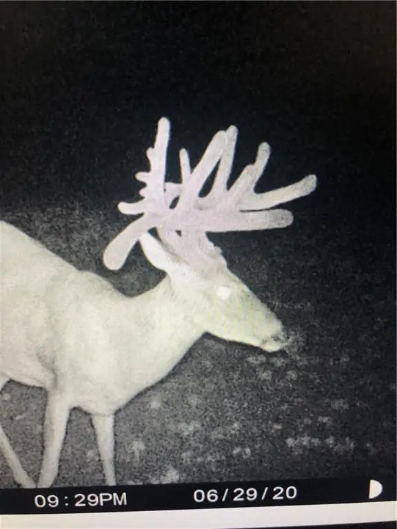 Highway Nn Highway, Spickard, MO 64659