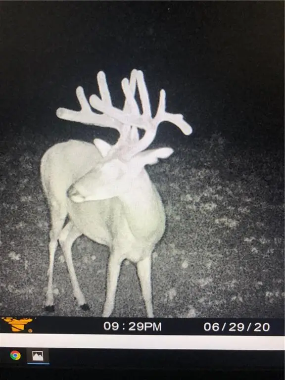 Highway Nn Highway, Spickard, MO 64659 - #2