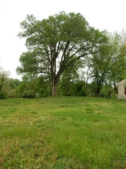 605 Hillcrest Street, Knob Noster, MO 65336