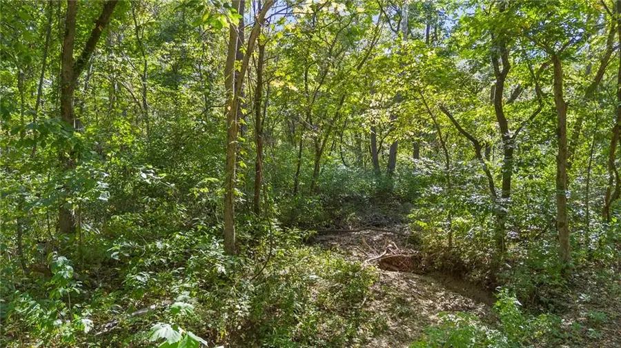 80 +/- Acres Proctor Lane, Gravois Mills, MO 65037 - #3