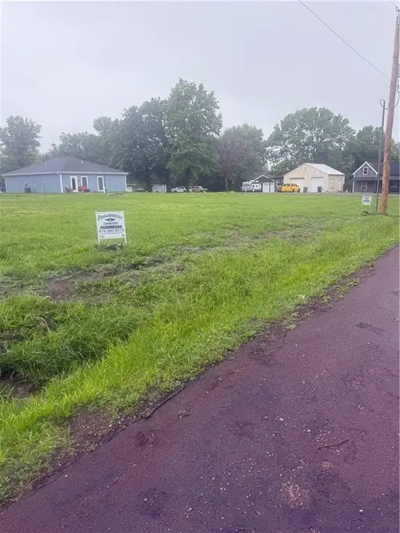 East Street, East Lynne, MO 64743 - #1