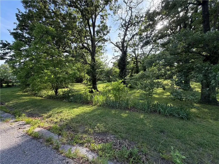 Galena Avenue, Galena, KS 66739 - #3