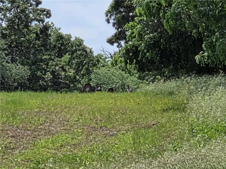 1023 NE 40th Road, Lamar, MO 64759 - #3