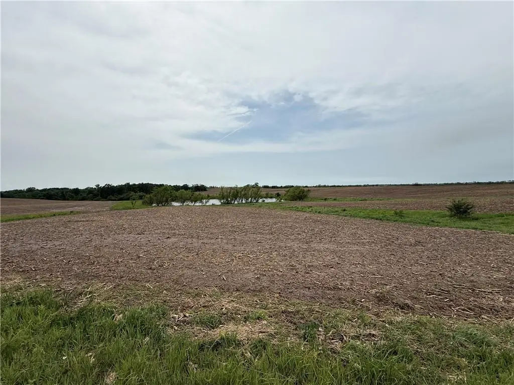 Y Highway, Purdin, MO 64674 - #1