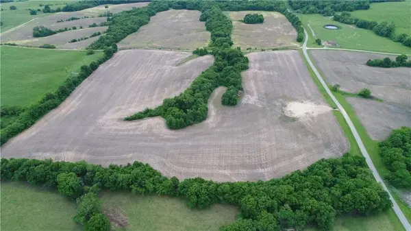 Cotton Road, Purdin, MO 64674