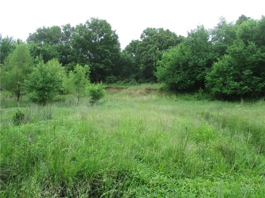 0000 SE 118th Street, Galena, KS 66739 - #3