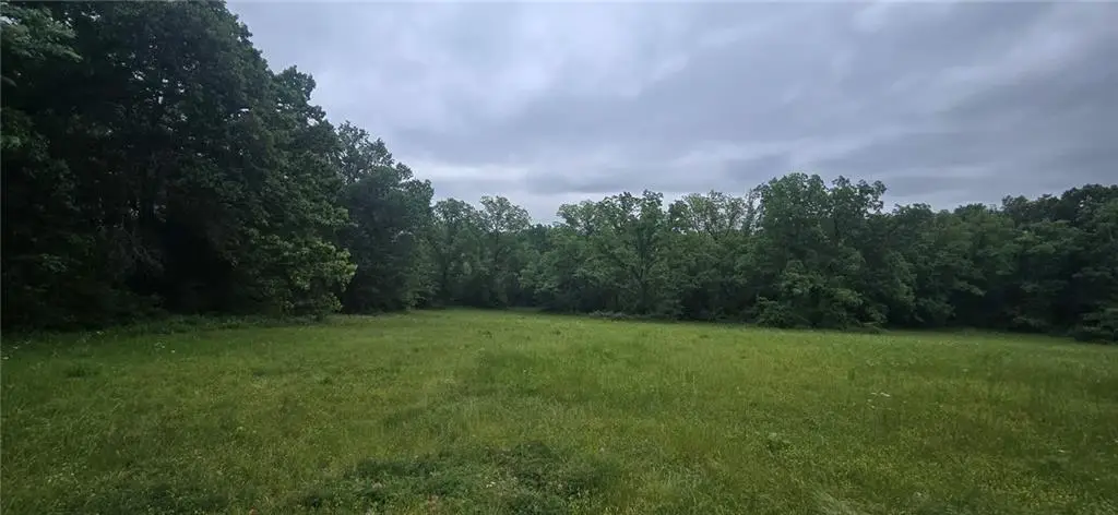 12668 E Panama Road, Nevada, MO 64772 - #1