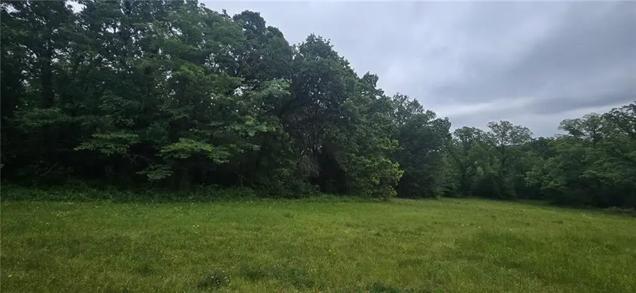 12668 E Panama Road, Nevada, MO 64772 - #2