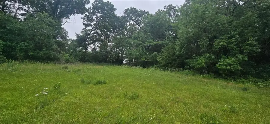 12668 E Panama Road, Nevada, MO 64772 - #3