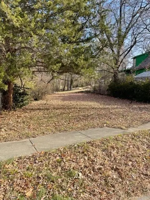 107 N Crysler Avenue, Independence, MO 64050 - #2