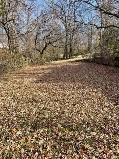 107 N Crysler Avenue, Independence, MO 64050 - #3