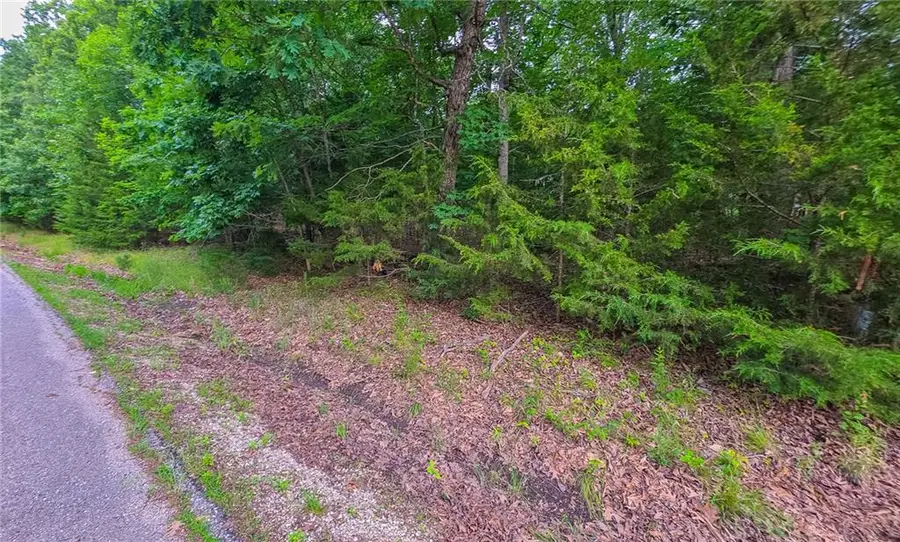 Lot #1352 Champion Drive, Sunrise Beach, MO 65079 - #2