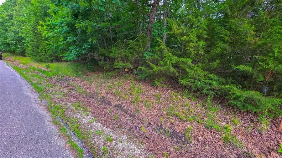 Lot #1352 Champion Drive, Sunrise Beach, MO 65079 - #3