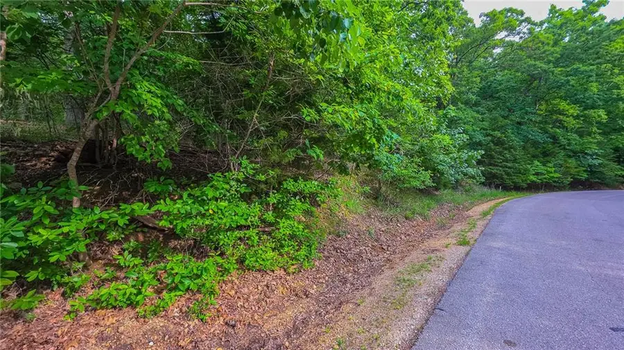 Lot #469 Grand View Drive, Sunrise Beach, MO 65079 - #2