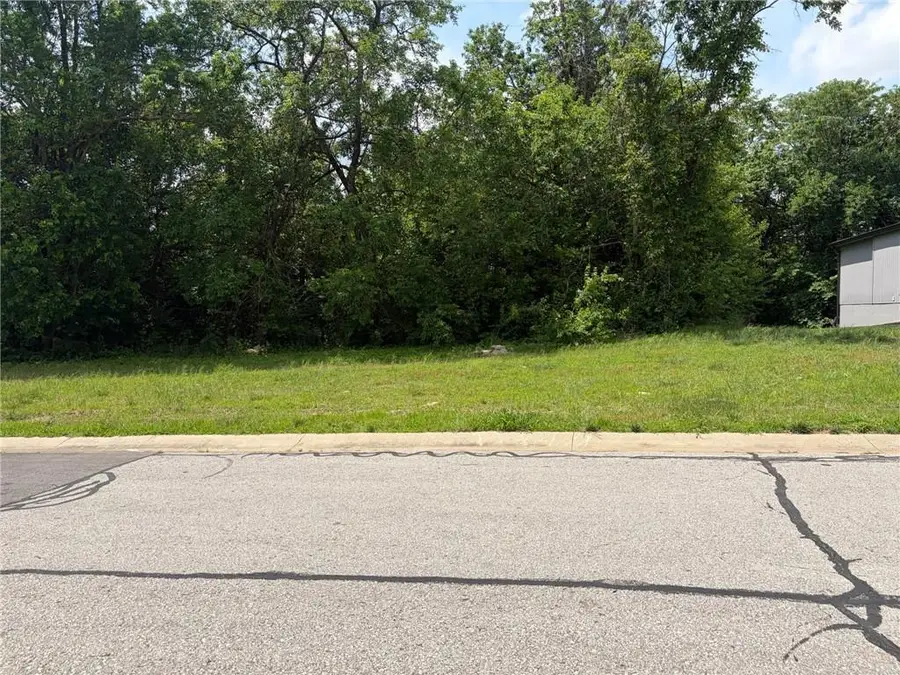 1105 S 12 Terrace, Louisburg, KS 66053 - #3