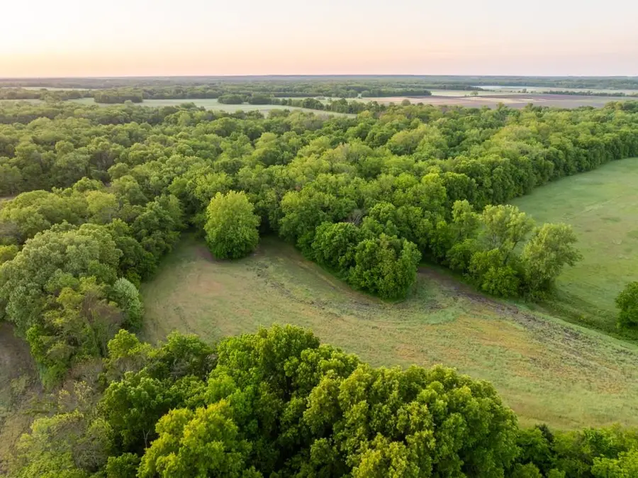 40801 E Route B Road, Creighton, MO 64739 - #3