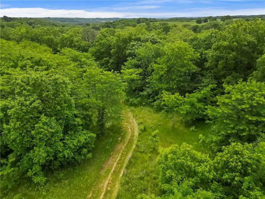 16927 Maddux Road, Rayville, MO 64084 - #2