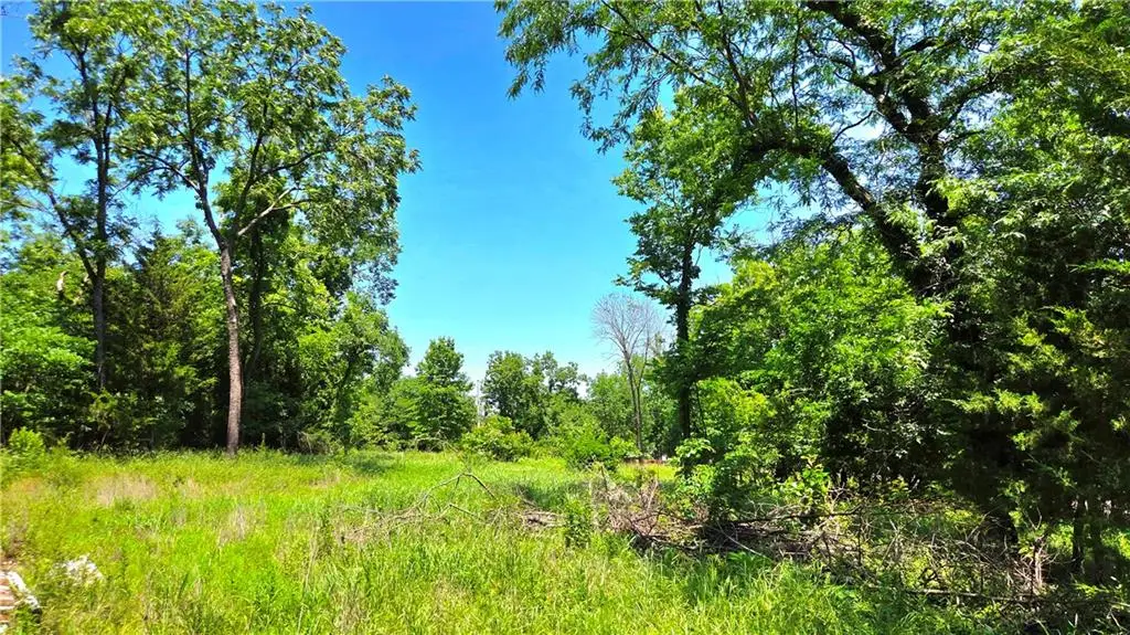 1 Shady Hollow Drive, Linn Valley, KS 66040 - #1