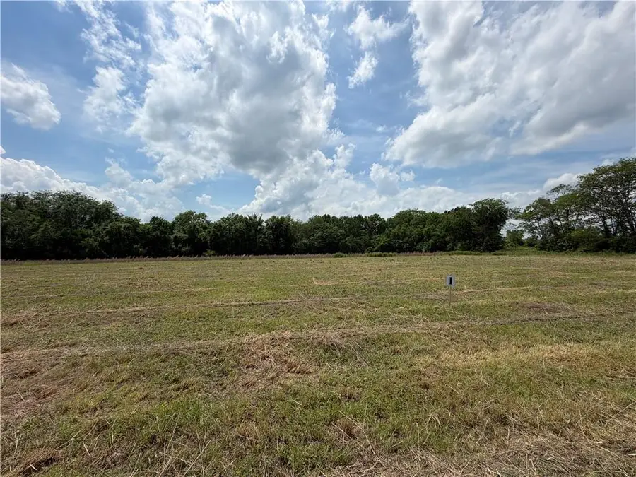 S Gibbons, Lot 4 Road, Pleasant Hill, MO 64080 - #3