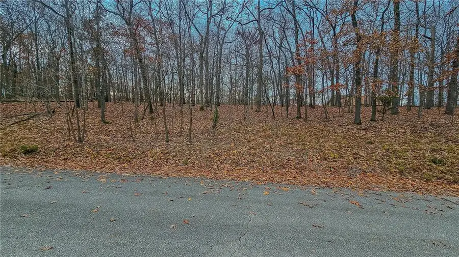 Lot #302 Lake Drive, Sunrise Beach, MO 65079 - #2