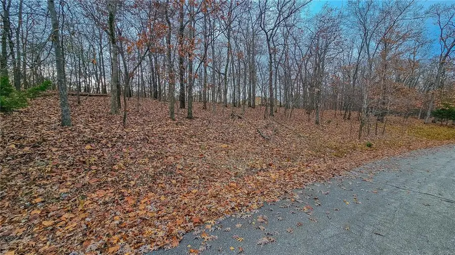 Lot #302 Lake Drive, Sunrise Beach, MO 65079 - #3