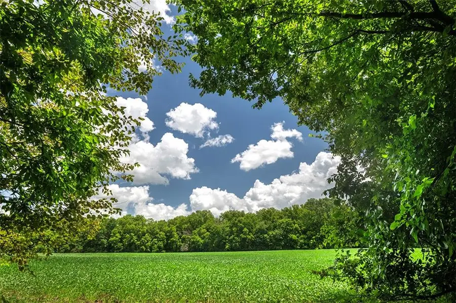 Sw County 13007 Road, Hume, MO 64752 - #3