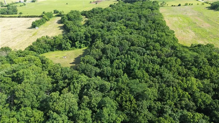 00000 Pressonville Road, Paola, KS 66071 - #3