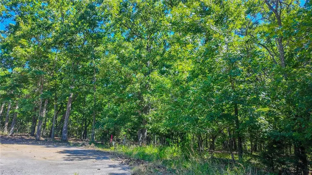 Lot #1318 Champion Court, Sunrise Beach, MO 65079 - #1