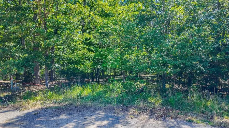 Lot #1318 Champion Court, Sunrise Beach, MO 65079 - #2