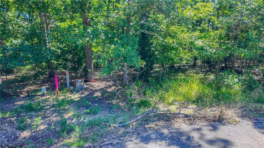 Lot #1318 Champion Court, Sunrise Beach, MO 65079 - #3