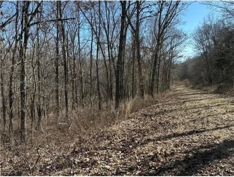 LOTS 3155,3156,3101 Rolfs Place, Edwards, MO 65326 - #2