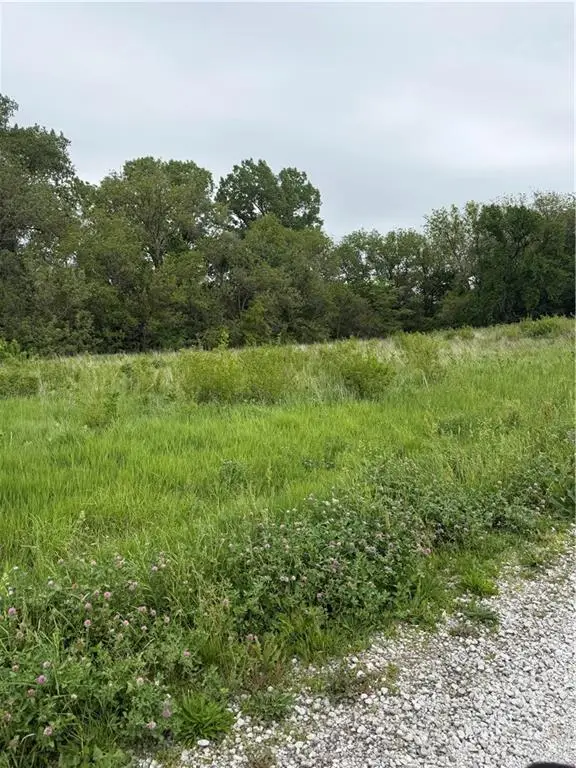 South Davis Street, Burlington Junction, MO 64428 - #3