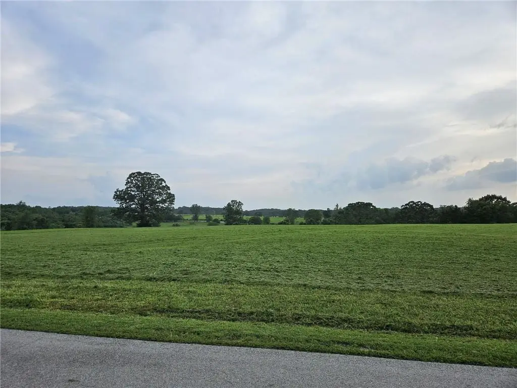 111 Lago Vista Drive, Shell Knob, MO 65747 - #1
