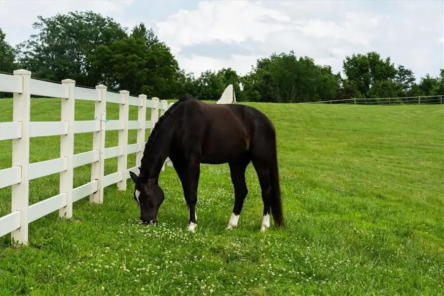 Lot 2 Bridle Parc Lane, Kansas City, MO 64152 - #2