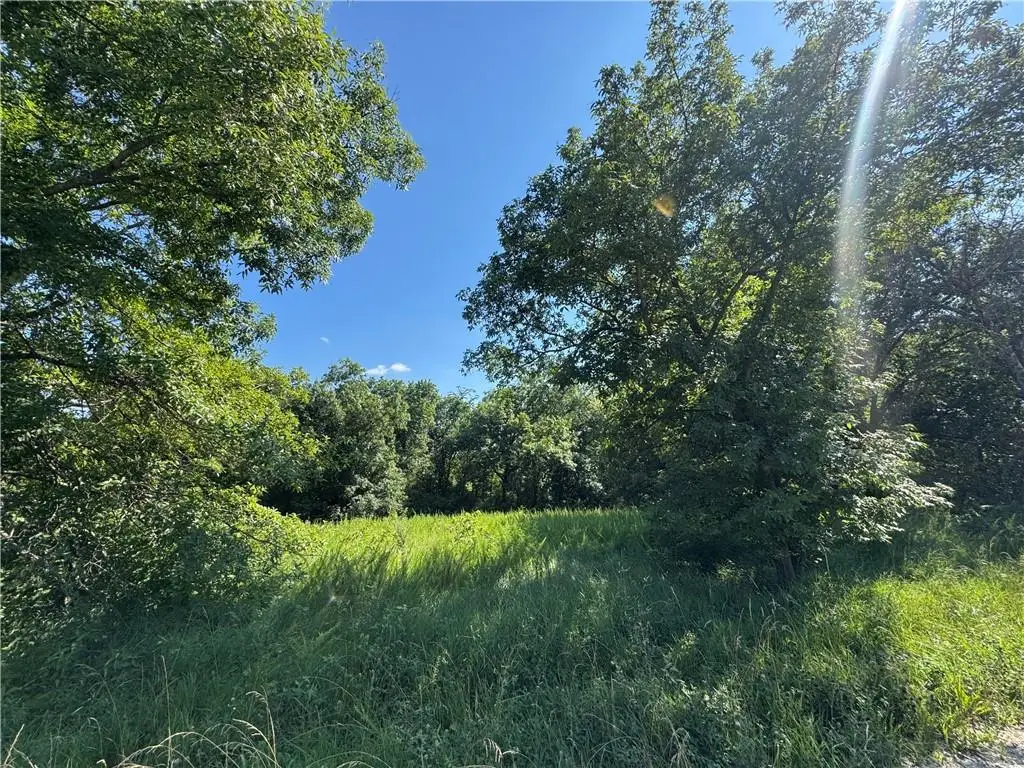 Fishing River Road, Excelsior Springs, MO 64024 - #1