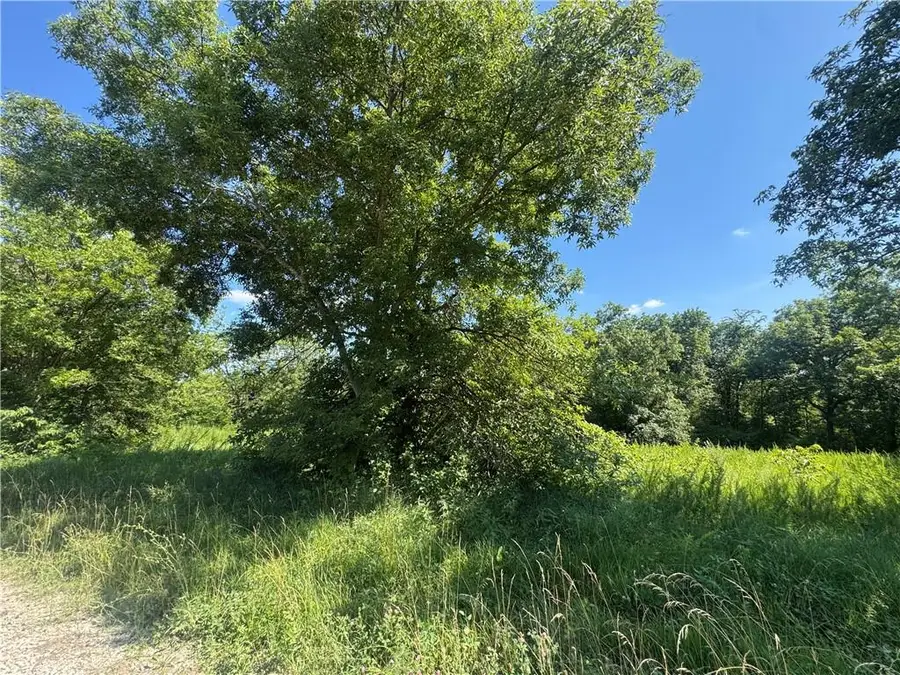 Fishing River Road, Excelsior Springs, MO 64024 - #3