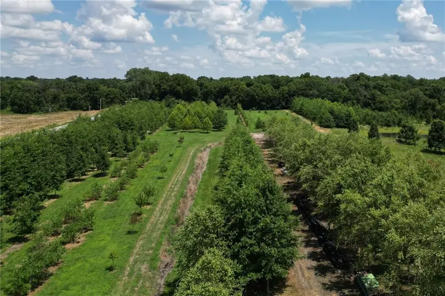 22701 Timberview Road, Harrisonville, MO 64701 - #2