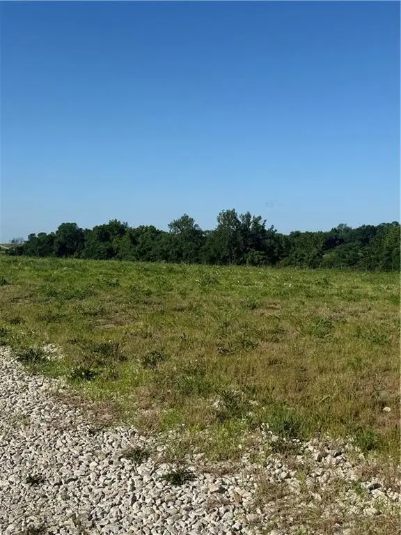 5216 Texas Prairie B Road, Odessa, MO 64076 - #1