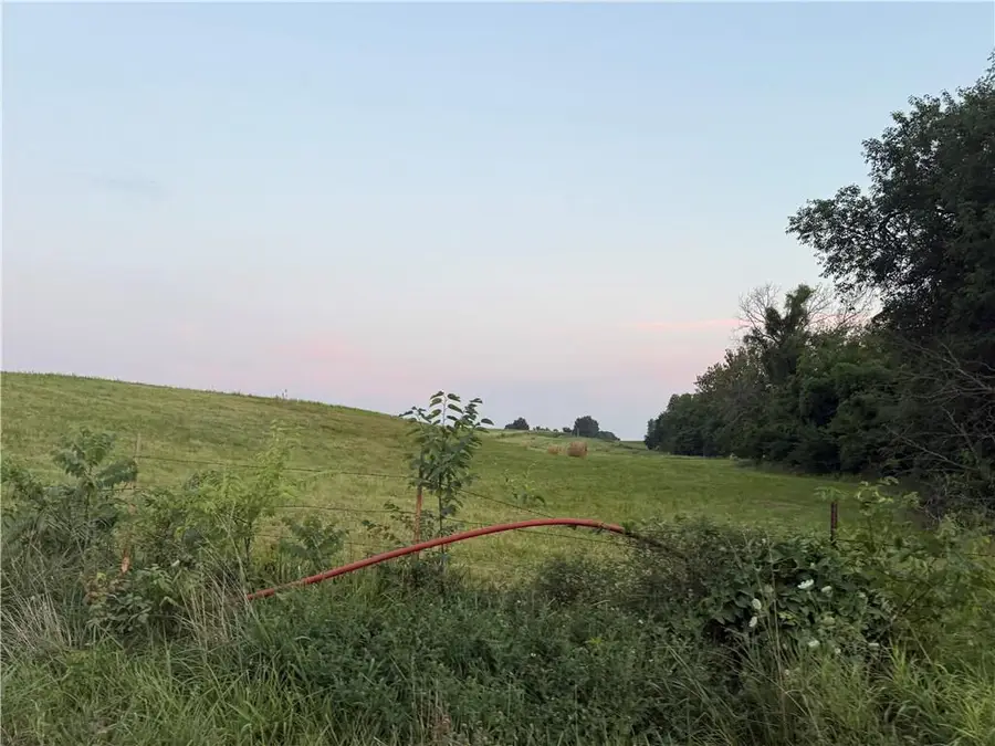 5216 Texas Prairie B Road, Odessa, MO 64076 - #3