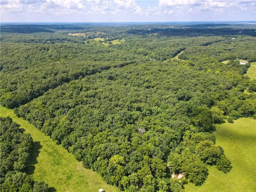 Ervin Lane, Warsaw, MO 65355 - #3
