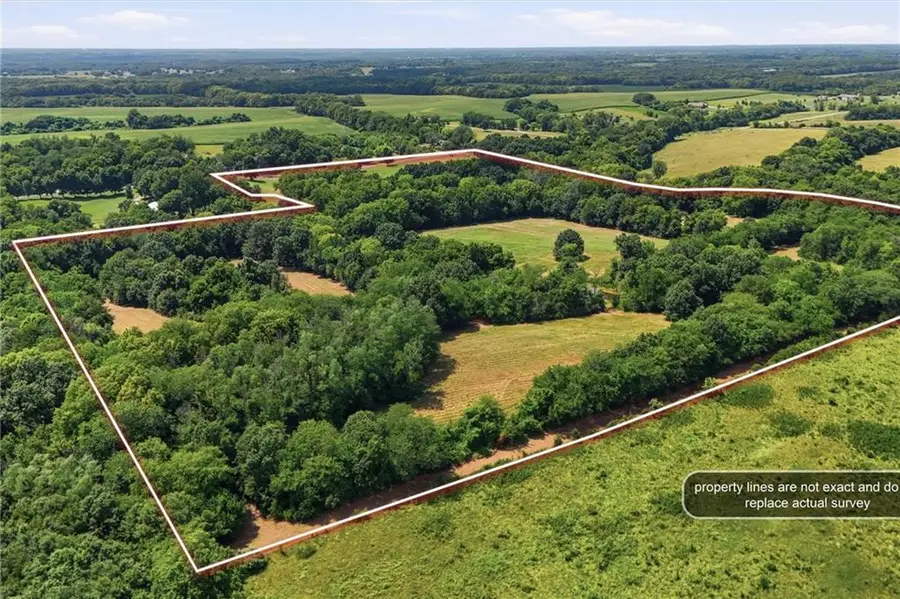 17919 Plattsburg Road, Holt, MO 64048 - #2