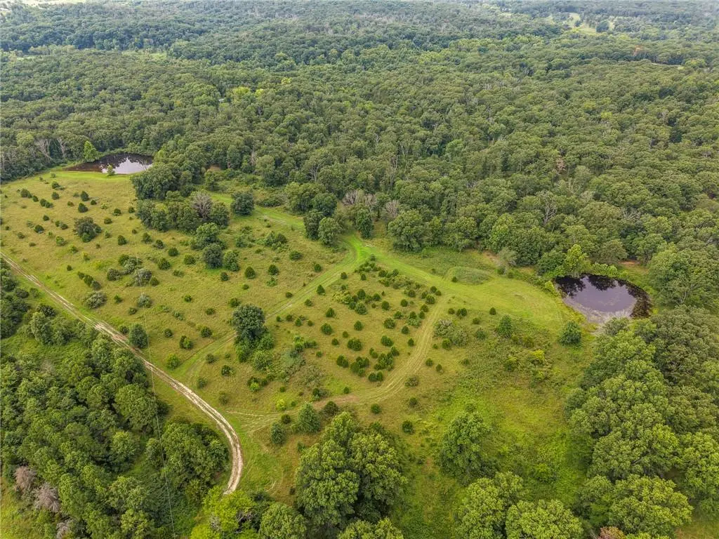 0000 NE 251 Road, Osceola, MO 64776 - #1