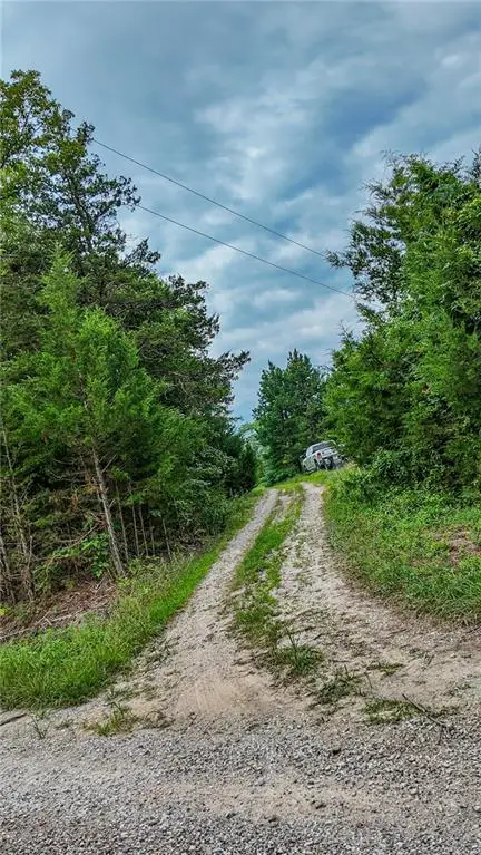 0000 NE 251 Road, Osceola, MO 64776 - #2