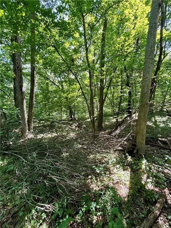 00000 W 750 Road, Mound City, KS 66056 - #3